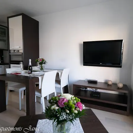 Delux Apartma Jana *