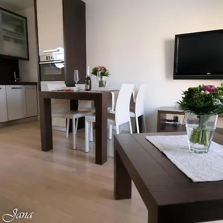 Delux Apartma Jana Appartement Ljubljana