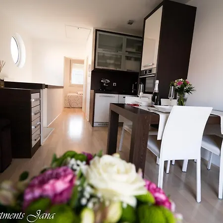 Delux Apartma Jana Appartement