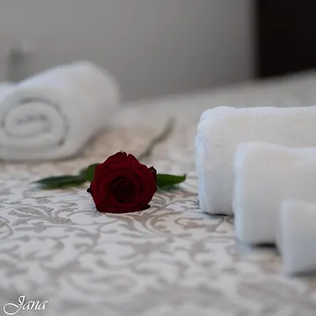 Delux Apartma Jana Appartement *